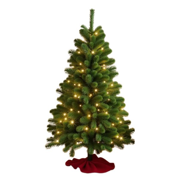 2 ft. Pre Lit Colonial Fir Tree with Warm White LED Lights